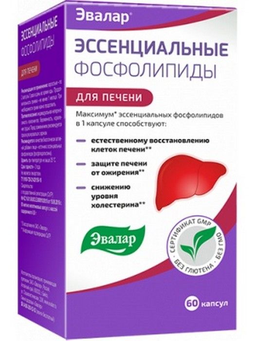 Витамины для печени и почек